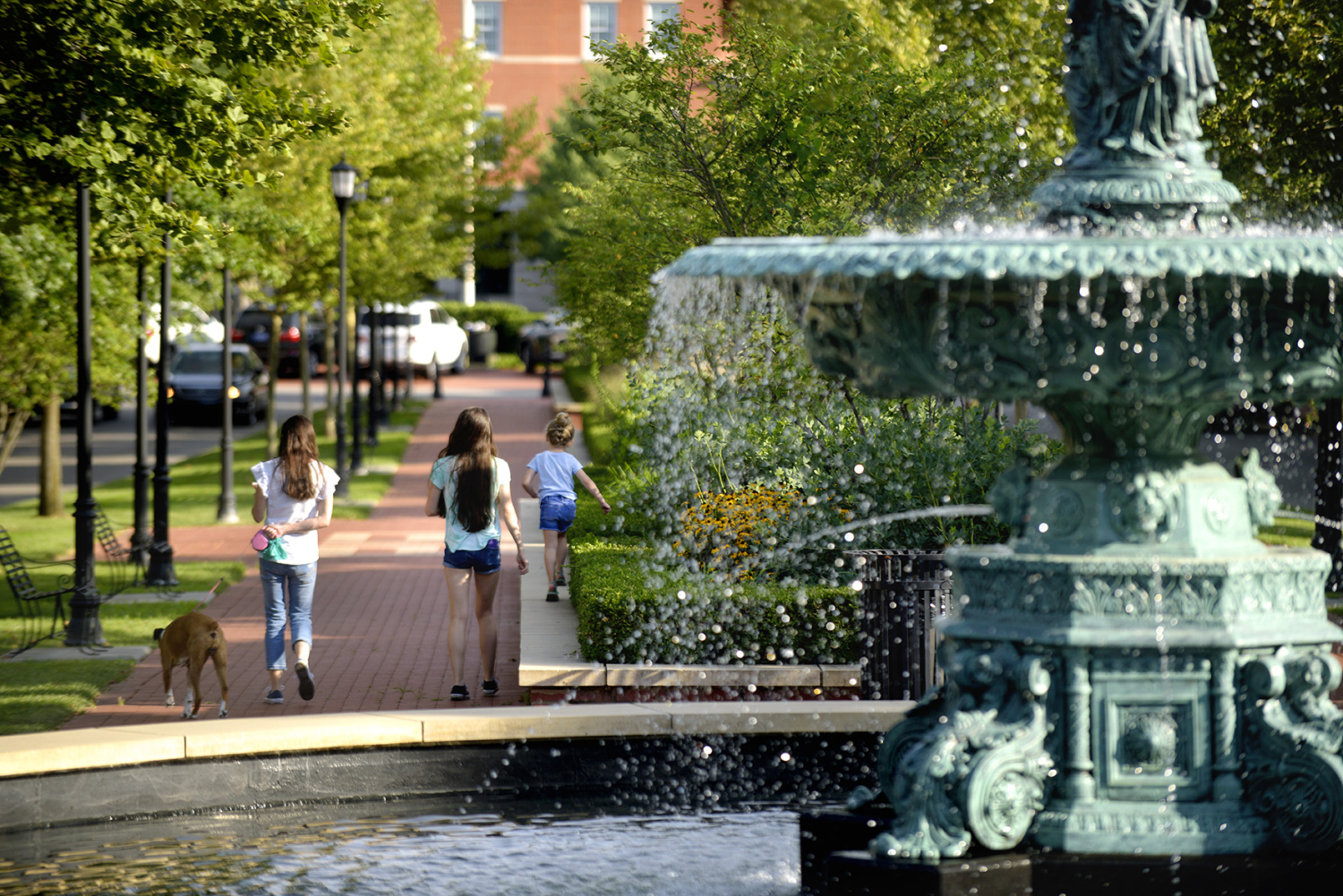 Healthy Living in Norton Commons