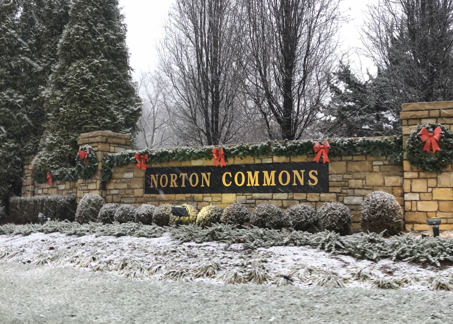 Norton Commons Magazine Letter from the Editor, November 2021 Norton Commons